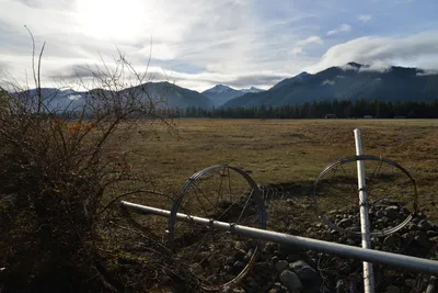 DSC_5842 (Large).JPG